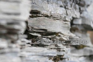 31省区市新增确诊36例(31省区市新增确诊病例13例)