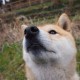 【青岛现1例复阳人员,青岛现1例复阳人员小区】