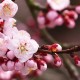 广东新增本土确诊病例5例(广东新增本土确诊10例轨迹)