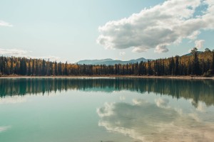 美国确诊超174万(美国确诊超469万)