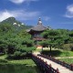 媒体:健康码全国互认不能再等了/现在健康码全国互认了吗