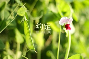 郑州疫情最新消息什么时候解封(郑州最新疫情,啥时候解封)