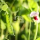 郑州疫情最新消息什么时候解封(郑州最新疫情,啥时候解封)