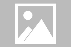 【天津疫情的最新数据,天津疫情最新发布】
