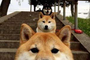 【黑龙江新增28例确诊8例无症状,黑龙江新增本土确诊2例 无症状1例】