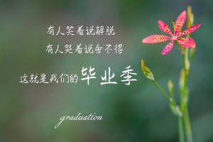 【上海志愿者阳性康复后发声,上海志愿者是干嘛的】