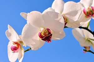 31省增20例境外输入/31省新增32例境外输入