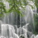 【黑龙江新增4例确诊,黑龙江新增4例确诊病例活动轨迹】
