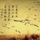 本轮疫情已涉7省份(本轮疫情已涉及10省份)