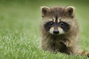 【天津新增7例阳性,天津新增4例本土新冠肺炎确诊病例】