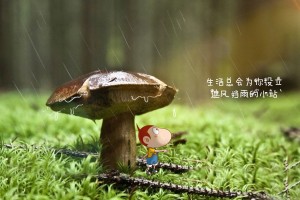 今日河北唐山疫情最新消息(今天河北唐山市疫情最新消息)