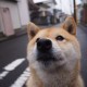 南京疫情最近消息/南京疫情最新情况公布