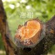 31省份新增本土病例97例:河南60例/31省份新增本土病例97例河南60例 翻译