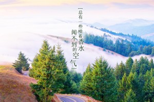 上海新增6例本土确诊(上海新增6人)
