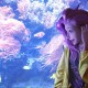 【河北辛集疫情,河北辛集新冠肺炎】