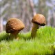 河南郑州疫情最新数据消息/河南郑州疫情最新通告