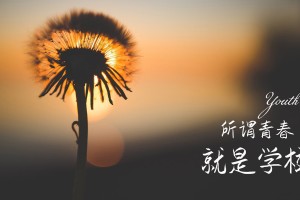 黑龙江疫情最新消息今天(黑龙江疫情最新消息今天新增病例行动轨迹)