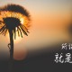 周记五一假期(周记五一假期趣事600字)