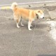 【哈尔滨今日新增疫情,哈尔滨今日新增病例轨迹】