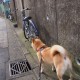 31省区市新增本土确诊94例(31省区市新增确诊54例 本土41例)