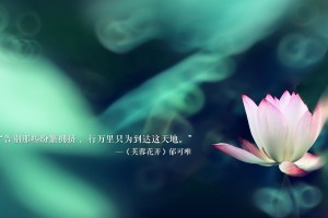 北京新增98例感染者社会面6例(北京新增确诊6例)